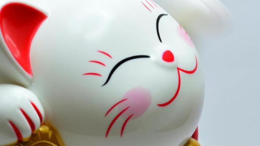 Año nuevo chino: ¿Qué significa el año del conejo de agua?