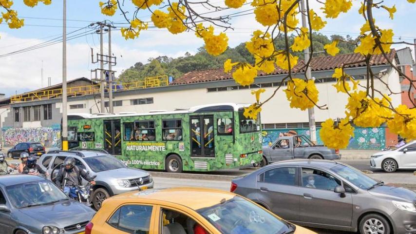 Canal Institucional te cuenta cómo funcionará el Pico y Placa en diciembre