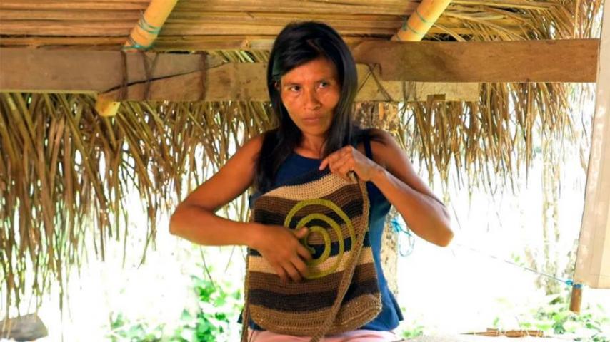 Día de los Pueblos Indígenas: la oferta de Señal Colombia