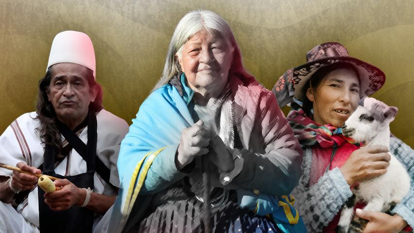 La cobertura de las marcas de RTVC de la semana de los pueblos indígenas