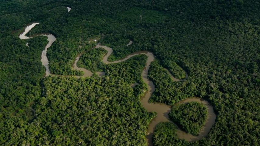 Respira Amazonía: las acciones del Gobierno para proteger el Amazonas