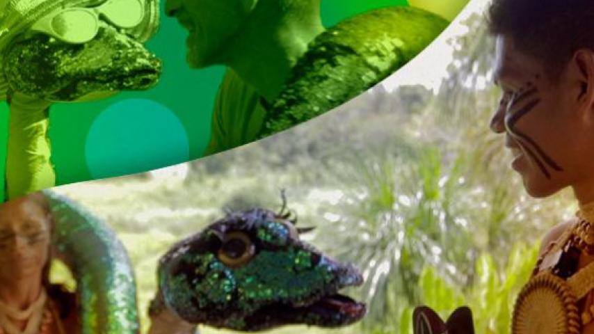 Respira Amazonía: cómo ayudar desde casa