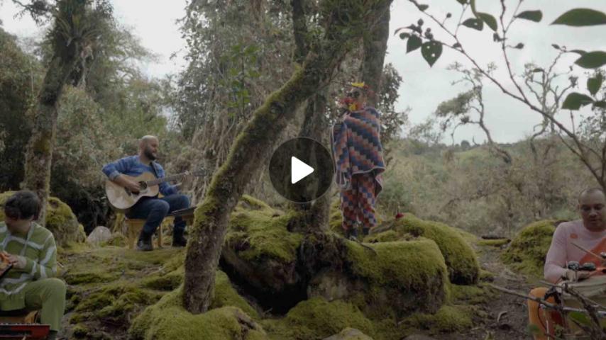 ¿Ya viste nuestro último Sesiones RTVC con Bomba Estéreo?