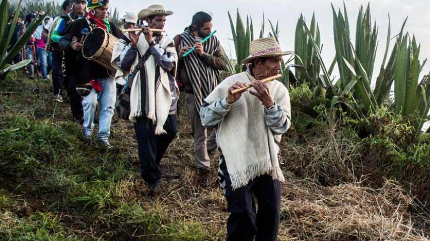 Mira "La sinfónica de los Andes" en RTVCPlay