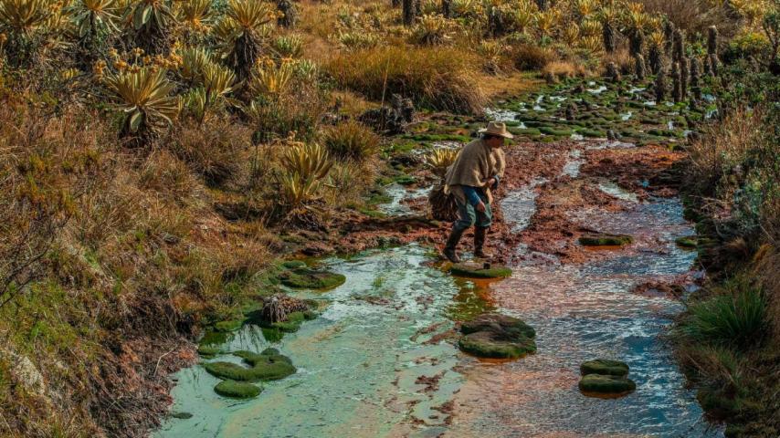 "Páramos, el país de las nieblas", un documental sobre estos ecosistemas