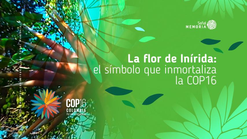 La flor de Inírida, símbolo de la COP, en el archivo Señal Memoria
