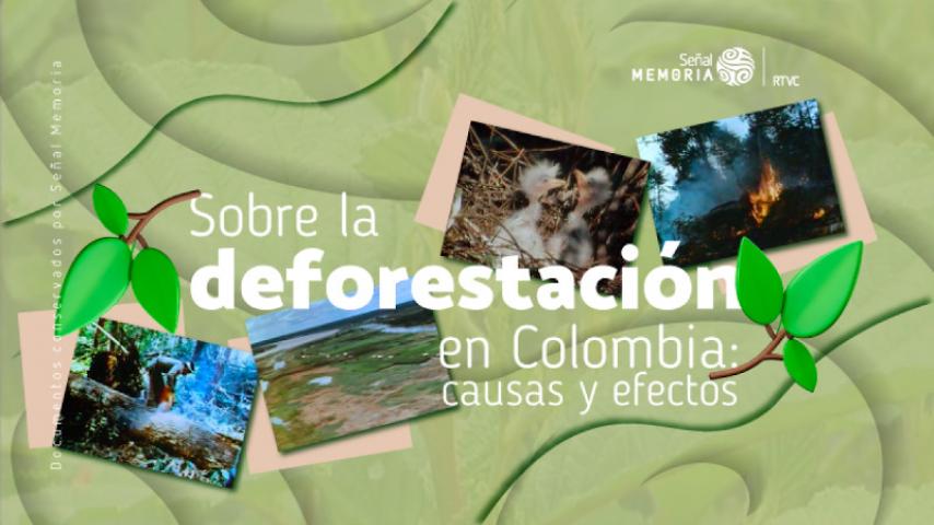 Nuestros problemas de deforestación, en el archivo de Señal Memoria