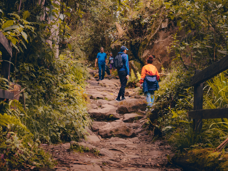Caminos Bogotá 
