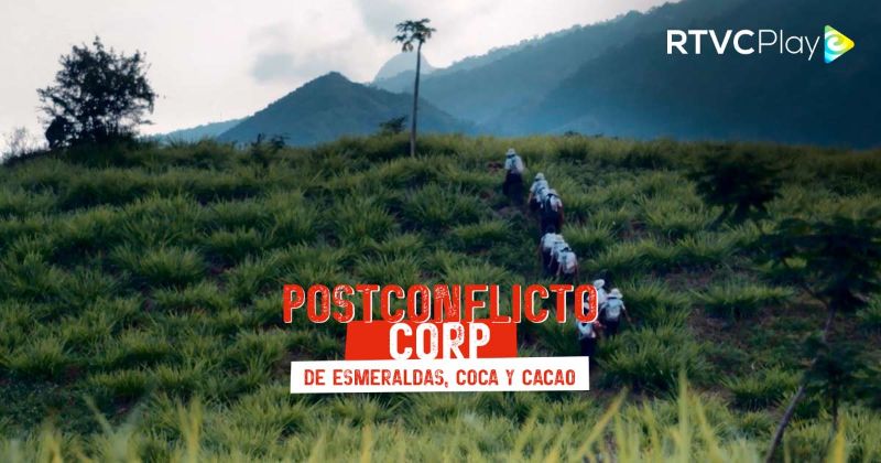 Programación Señal Colombia