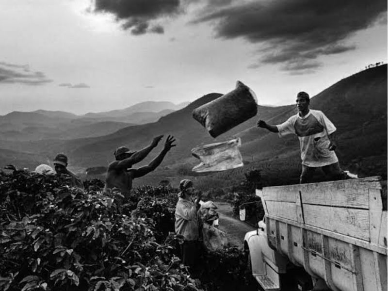 Sebastião Salgado