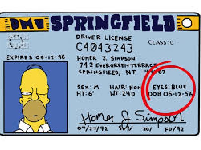 Licencia de conducción Homero Simpson