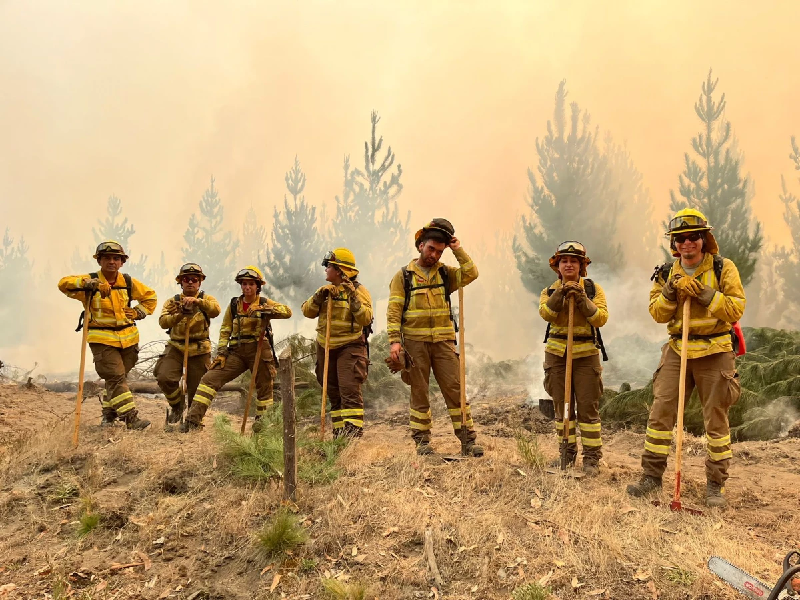 Día Internacional del Combatiente de Incendios Forestales