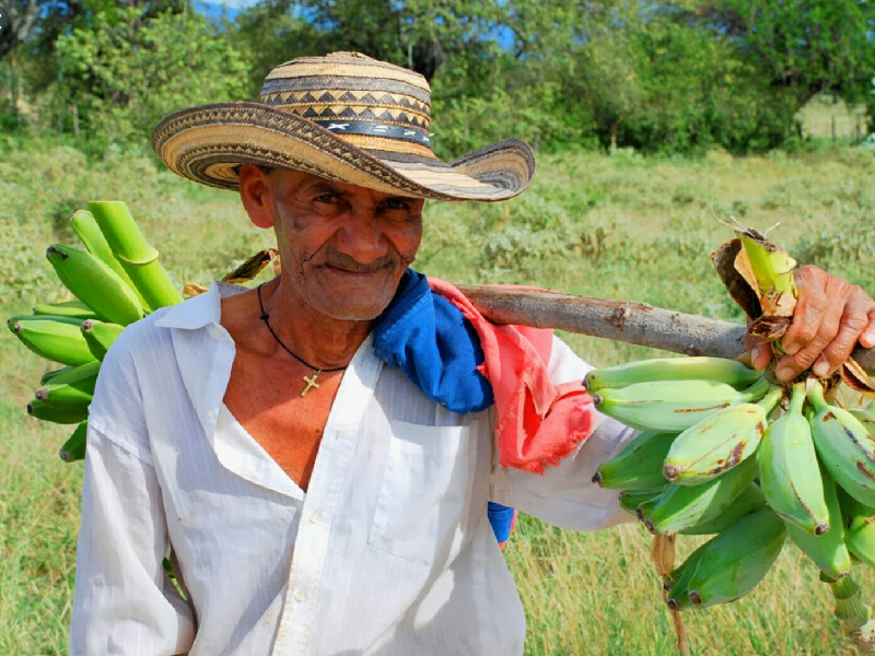 Día Internacional de la Lucha Campesina
