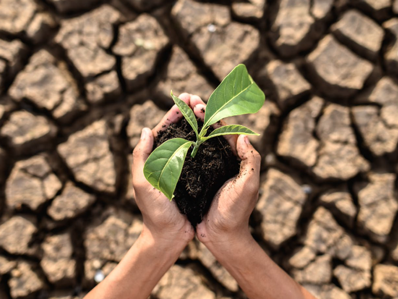 Combustibles Fósiles.
