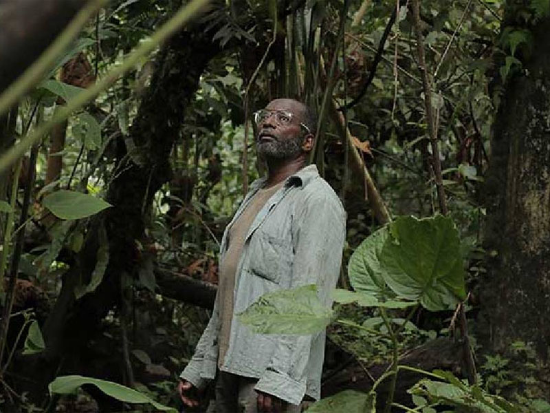 Yo vi tres luces negras