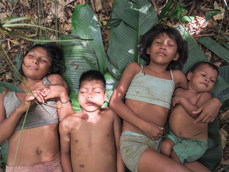 Perdidos en el amazonas