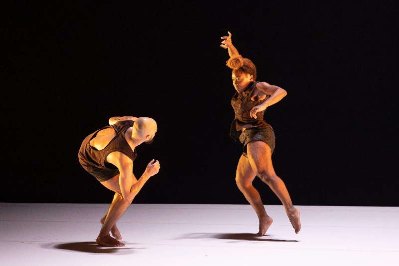 Danza contemporanea en Colombia