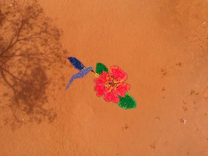 Arte popular y medio ambiente documental