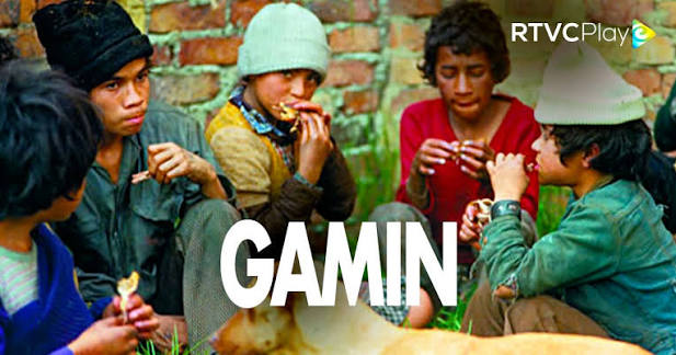 Gamín, documental sobre Bogotá