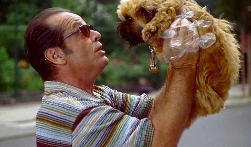 Programacion Señal Colombia