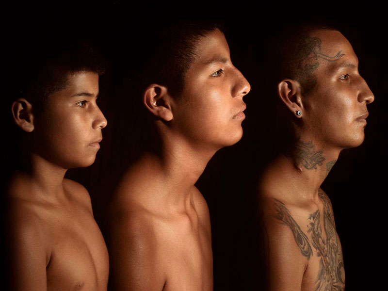 Serie documental Origen divergente