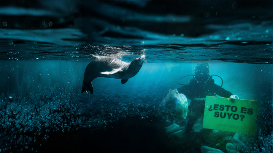 Día Mundial de los Mares: proteger nuestros océanos es una tarea urgente