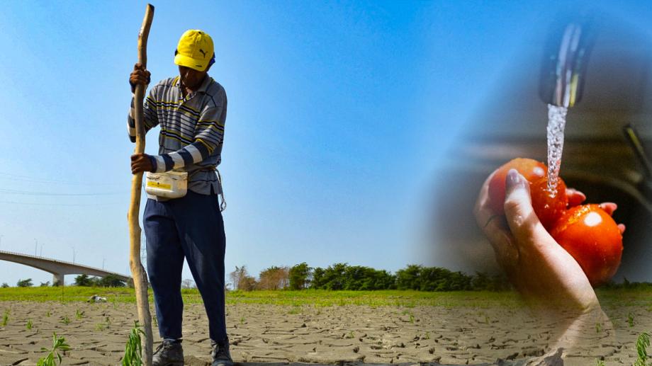 Fenómeno de El Niño Acciones desde casa para mitigar sus efectos