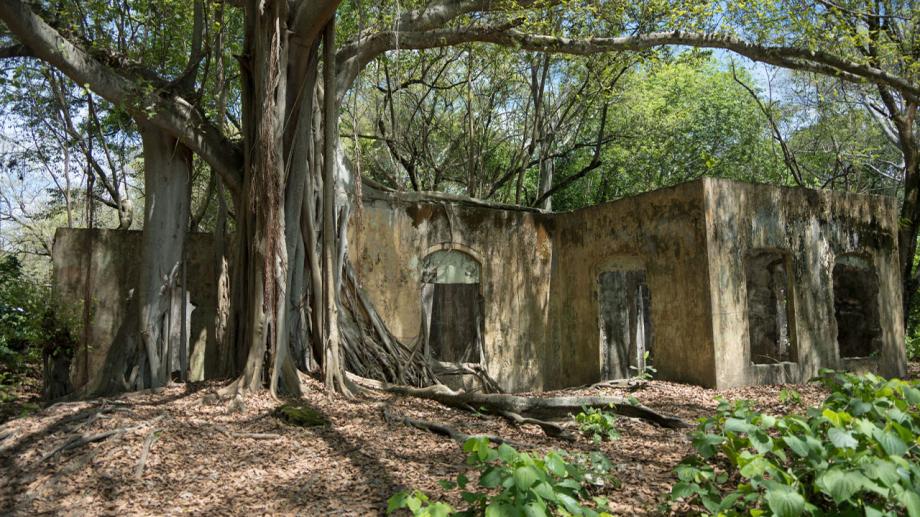 Armero será declarado Bien de Interés Cultural del Ámbito Nacional, un hito para la memoria del país