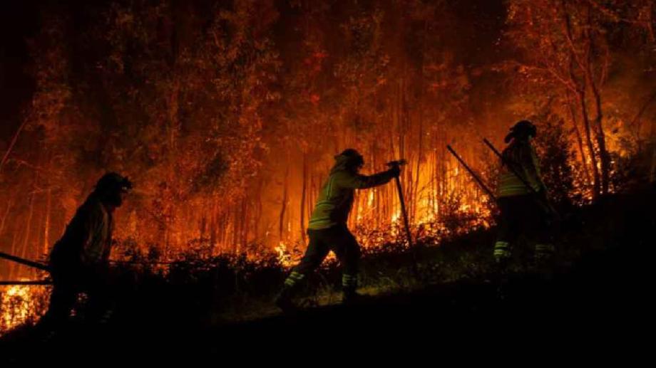 Día Internacional del Combatiente de Incendios Forestales: reconocer a quienes protegen la vida y los ecosistemas