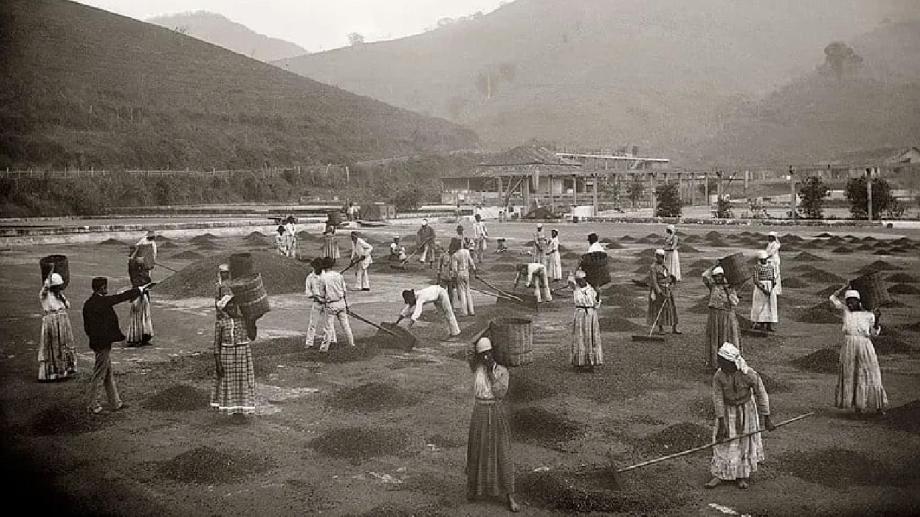 Ley Áurea: qué fue, quién la firmó y cómo cambió la historia de Brasil