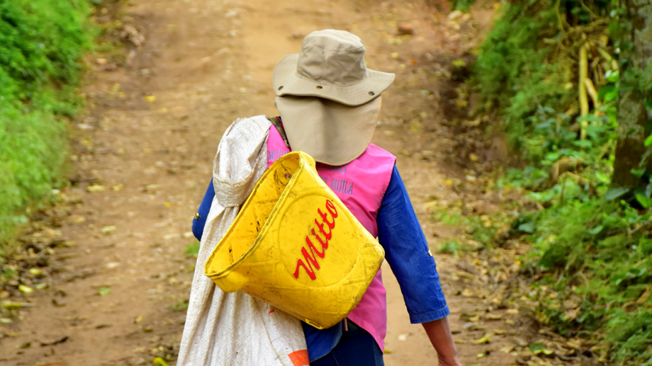 Nelly Saavedra: la caficultora que transformó el liderazgo femenino en el Huila