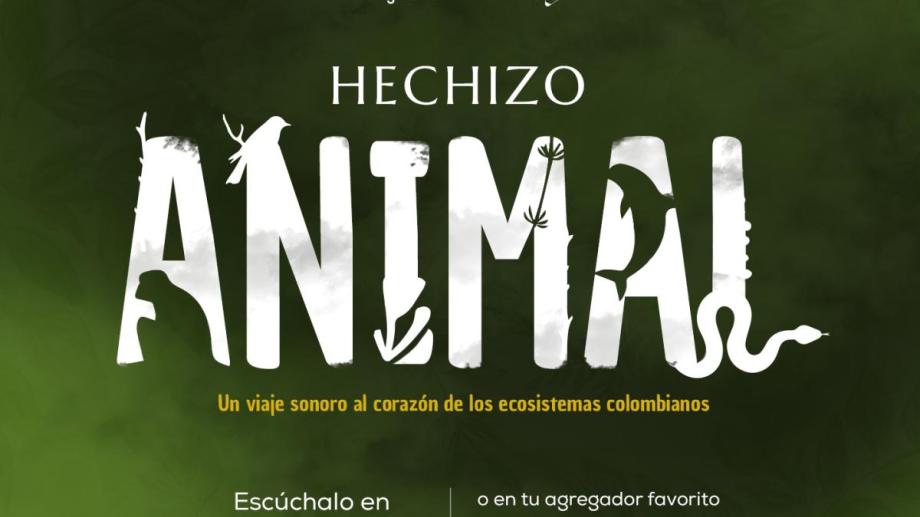 'Hechizo Animal' de RTVCPlay gana el Premio Simón Bolívar a Mejor Crónica Sonora 2025