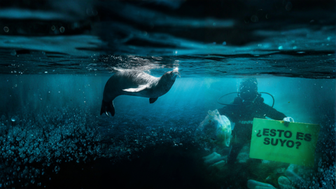Día Mundial de los Mares: proteger nuestros océanos es una tarea urgente