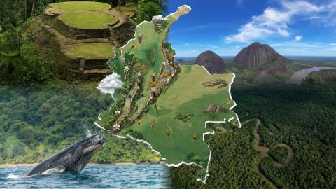 Diez datos curiosos sobre Colombia: biodiversidad, geografía e historia