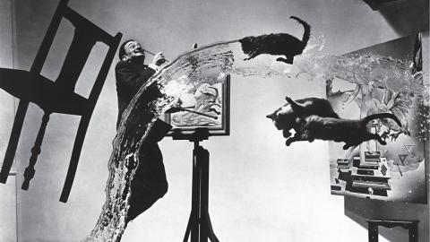 Día Mundial de la Fotografía