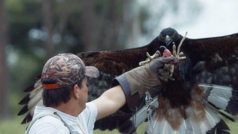 Fotograma de la serie Héroes al rescate animal.