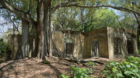 Armero será declarado Bien de Interés Cultural del Ámbito Nacional, un hito para la memoria del país