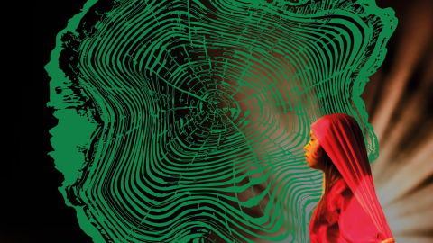 Circuitos Vivos 2026: convocatoria nacional para proyectos artísticos en movimiento