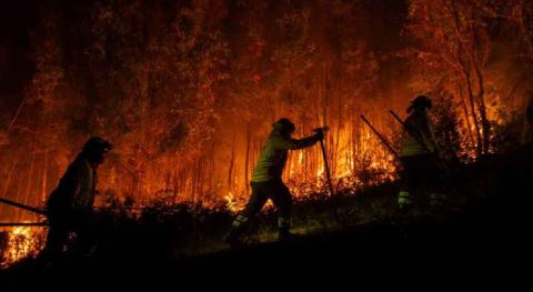 Día Internacional del Combatiente de Incendios Forestales: reconocer a quienes protegen la vida y los ecosistemas