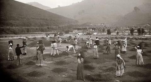 Ley Áurea: qué fue, quién la firmó y cómo cambió la historia de Brasil