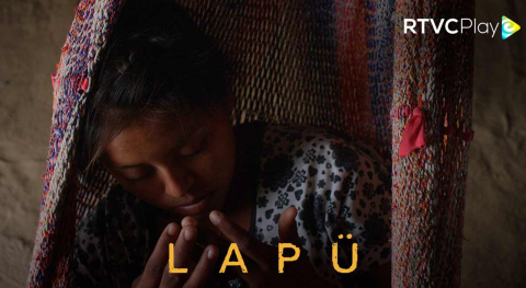 Señal Colombia, el canal del cine: estas son las películas imperdibles del 9 al 15 de junio