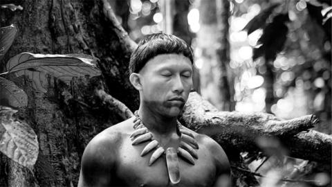 El abrazo de la serpiente