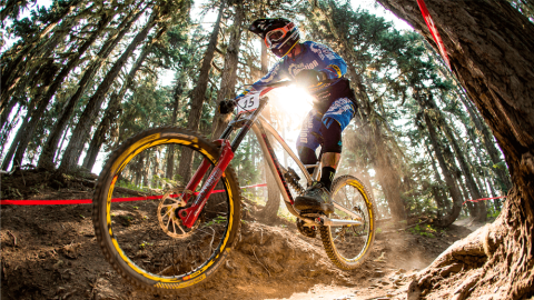 Diccionario de ciclomontañismo: Primera entrega