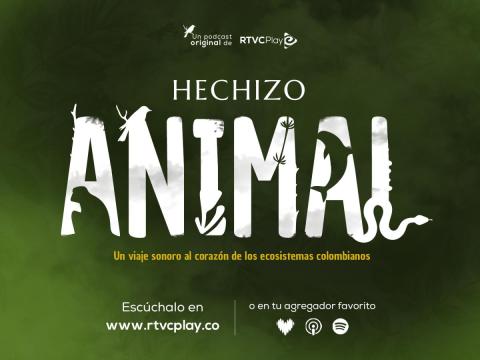 'Hechizo Animal' de RTVCPlay gana el Premio Simón Bolívar a Mejor Crónica Sonora 2025