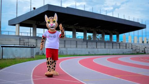 La historia de los Juegos Suramericanos