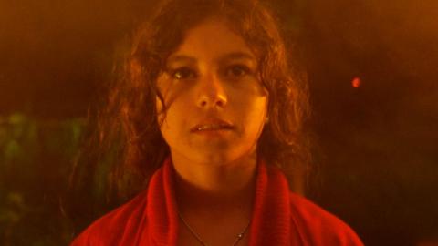 Películas colombianas gratis para ver en vacaciones