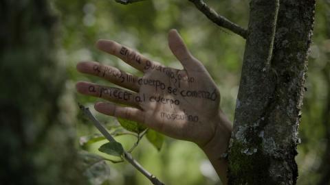 Un nuevo amanecer: ¿cómo es ser mujer en medio de la guerra?