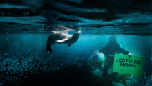Día Mundial de los Mares: proteger nuestros océanos es una tarea urgente