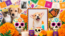 Cada 27 de octubre, se conmemora el Día de Muertos de las Mascotas