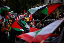 Protesta a favor de Palestina